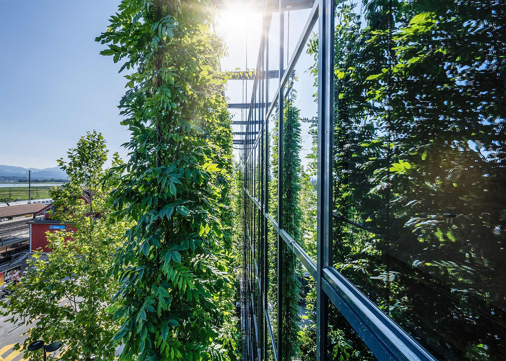 720 Grad Architekten - Hängende Gärten