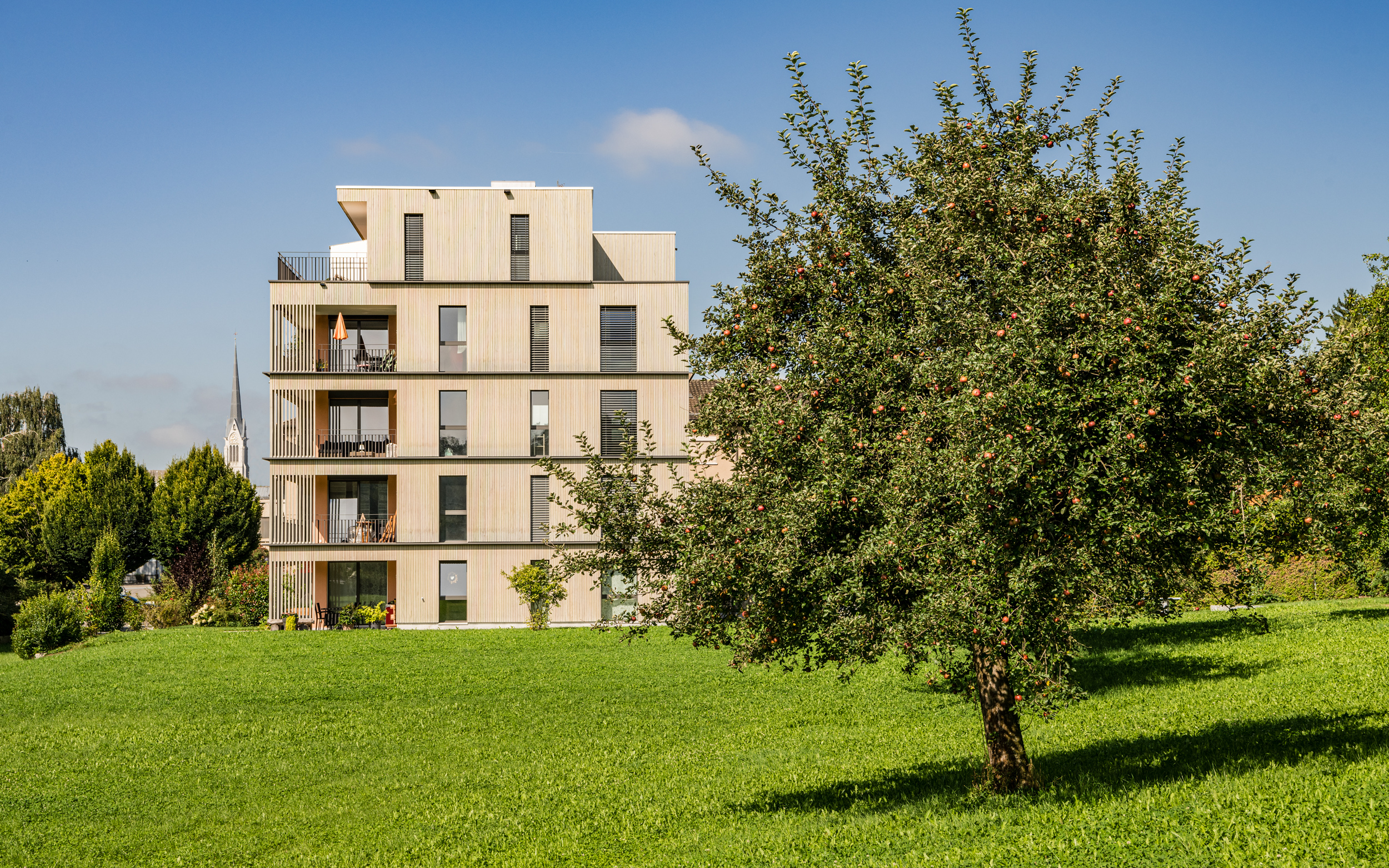 720 Grad Architekten - Maihalde