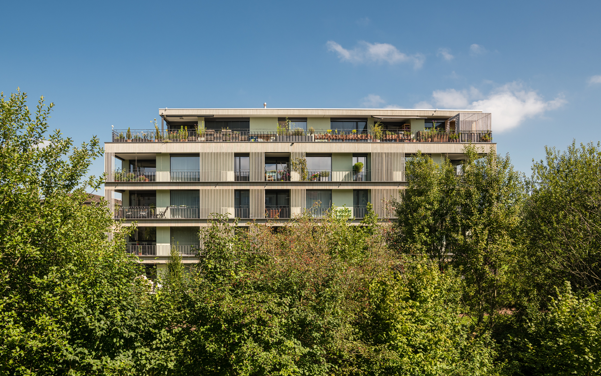 720 Grad Architekten - Maihalde