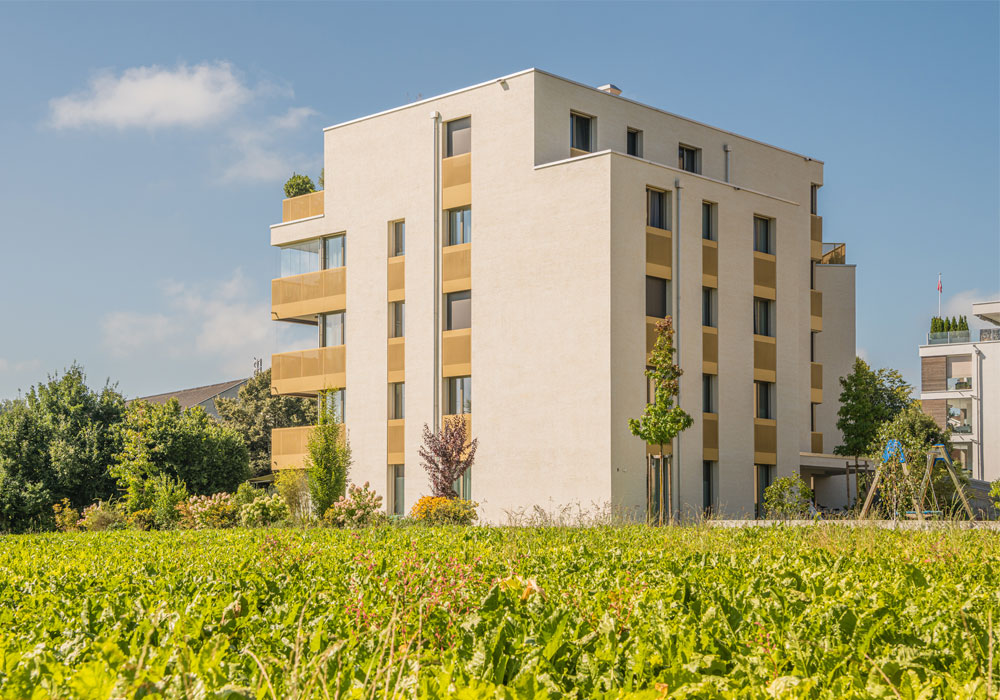 720 Grad Architekten - Im Loh